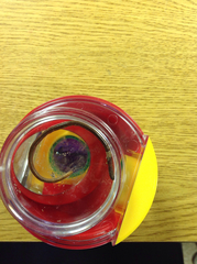 Aporrectodea trapezoides