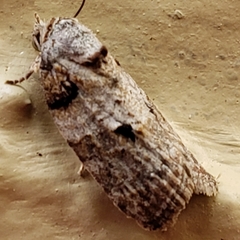 Garella