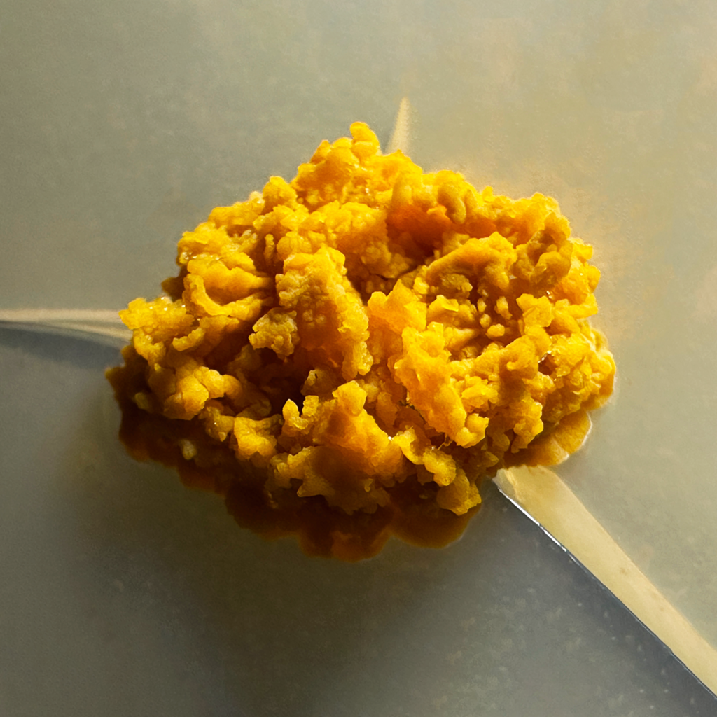 Actinomycetota