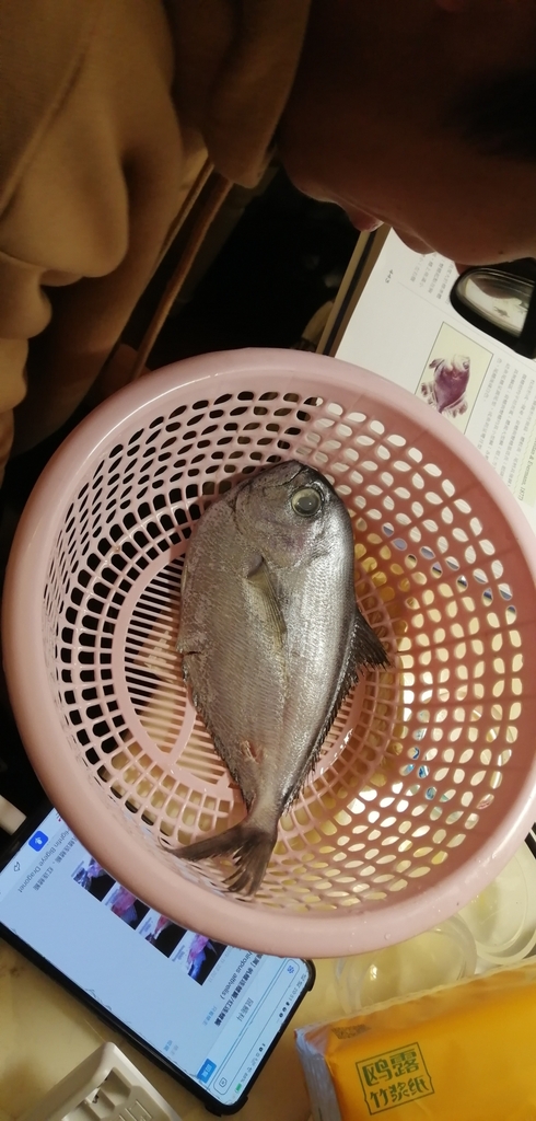 Myers Pomfret
