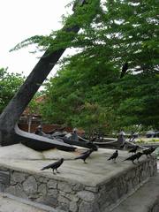 Corvus splendens