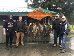 Hippoglossus stenolepis