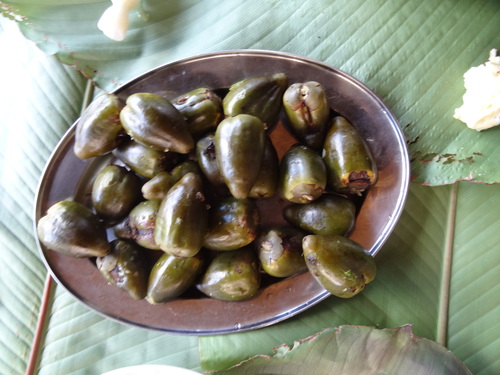 Bactris gasipaes - Leaves