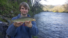 Moxostoma erythrurum