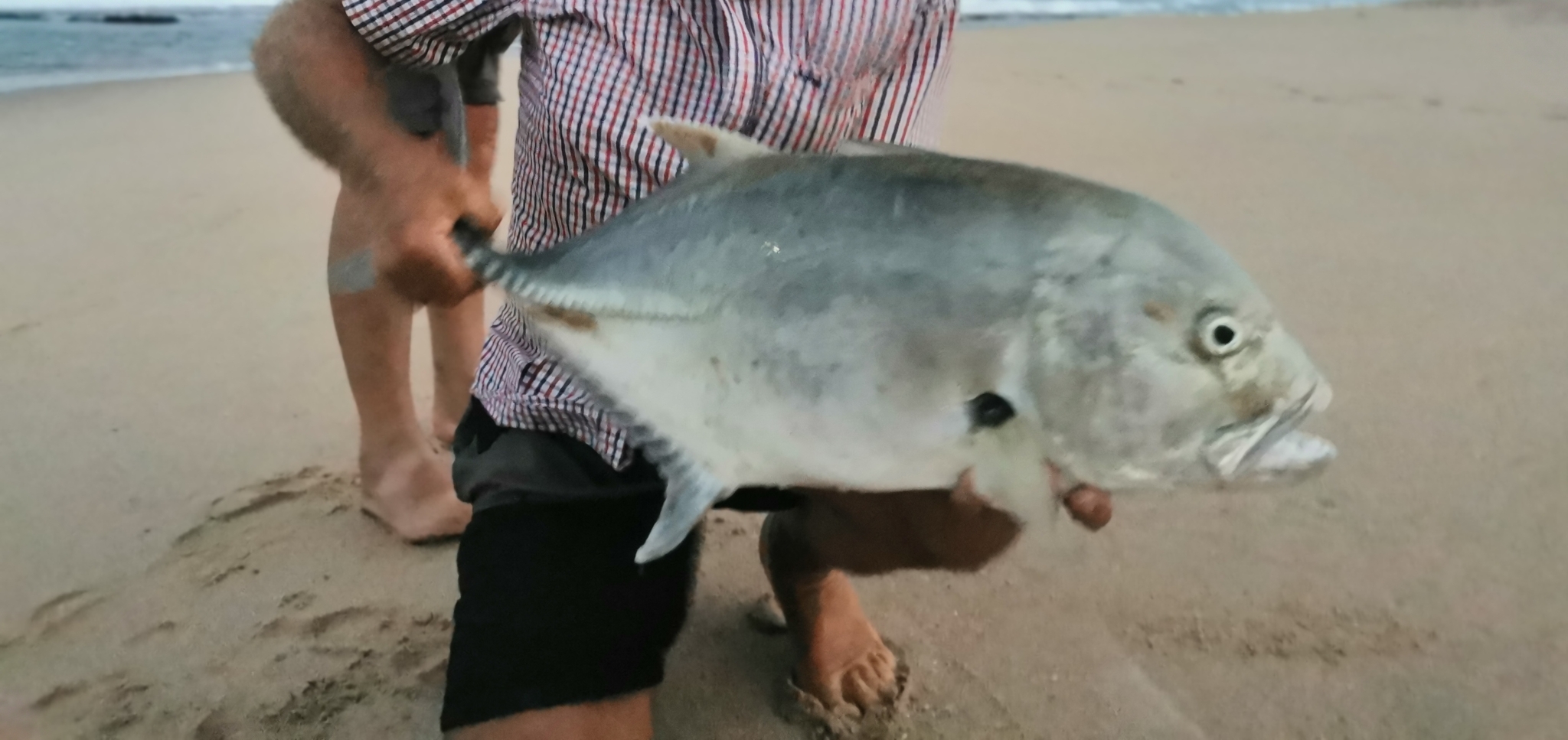 Species image