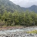 紐西蘭陸均松 - Photo 由 Ben 所上傳的 (c) Ben，保留部份權利CC BY