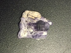 Austrobalanus imperator