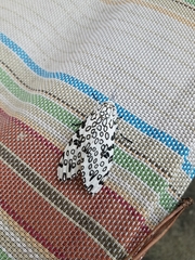 Hypercompe scribonia