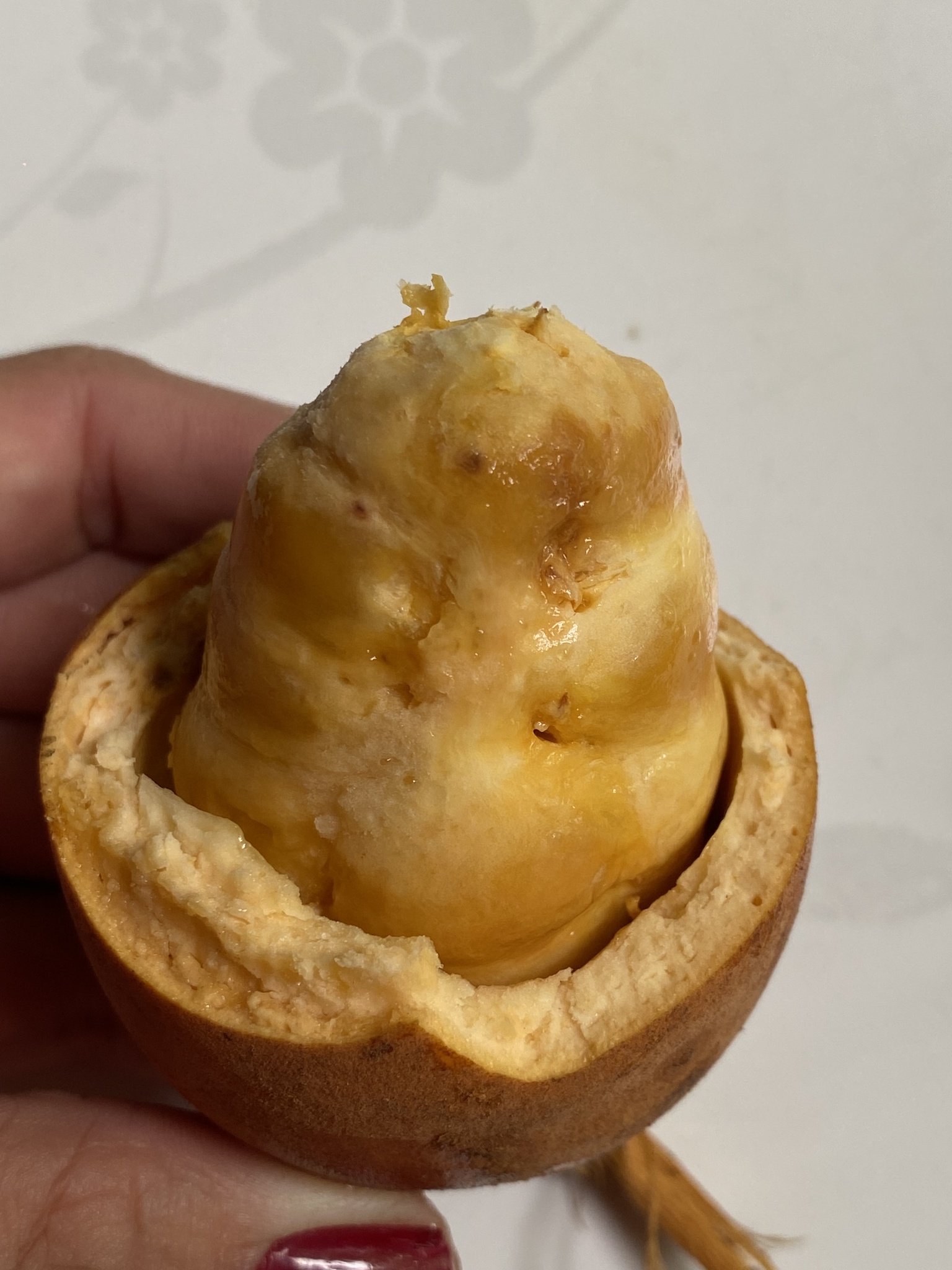 Imagem de Cupuí