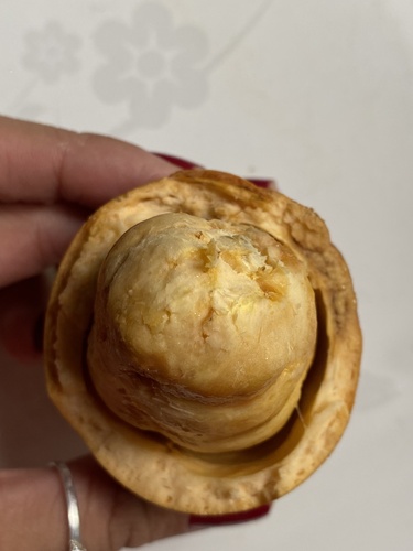 Foto de Cupuí