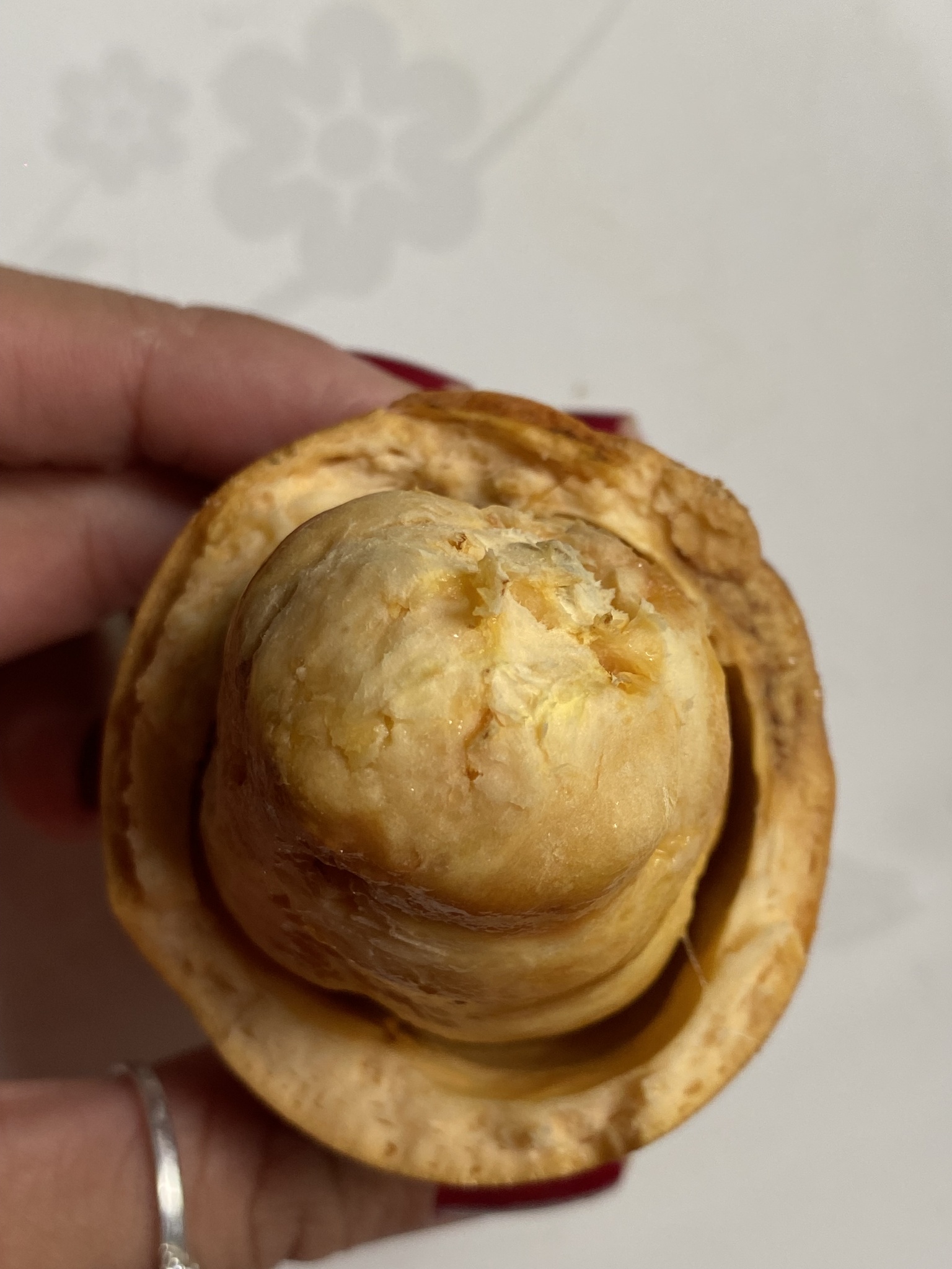 Imagem de Cupuí