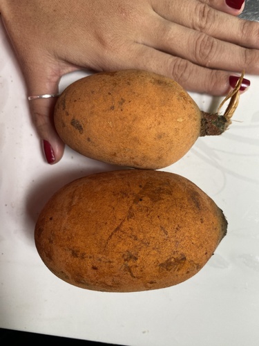 Foto de Cupuí