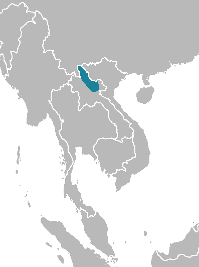 Roosevelts' Muntjac