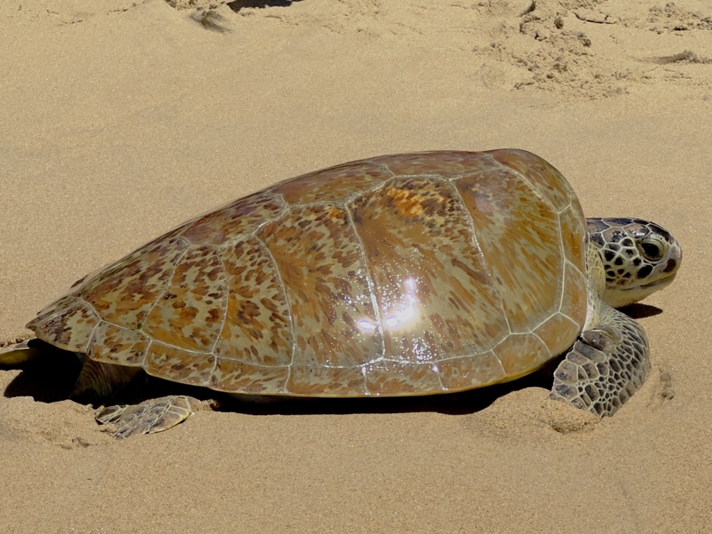 Photo by Bryan Ramdeen