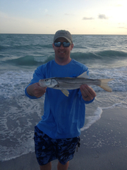 Centropomus undecimalis