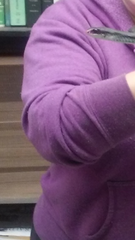 Coluber constrictor latrunculus