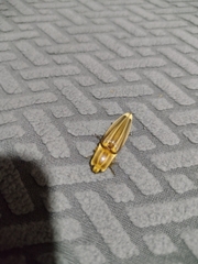 Semiotus ligneus image