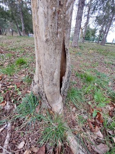(c) Vitaliy, some rights reserved (CC BY-NC), uploaded by Vitaliy