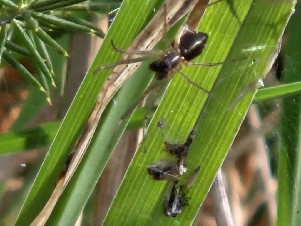 Sheetweavers from 60044 Fabriano AN, Italia on March 14, 2024 at 0332