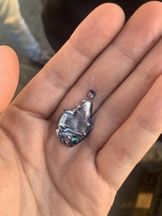 Tropical Hatchetfish photo 2