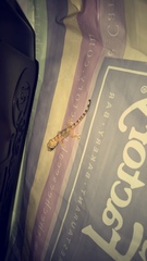 Hemidactylus mabouia