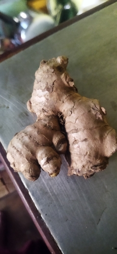 Foto de Gengibre