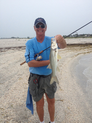 Centropomus undecimalis