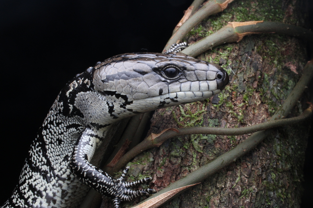 Yetuk rus onalar ishtirokida uy qurilishi anal porno