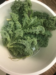 Brassica oleracea acephala