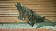 Arsenurinae