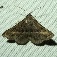 Lesmone detrahens