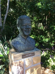 Strelitzia reginae reginae