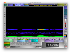 Tadarida brasiliensis