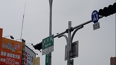 Acridotheres javanicus