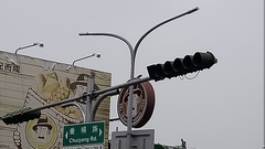 Acridotheres javanicus