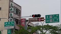 Streptopelia tranquebarica