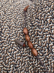 Pacificanthia consors