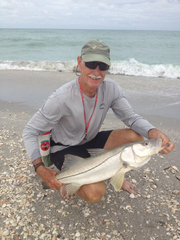 Centropomus undecimalis