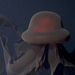 Stygiomedusa gigantea - Photo 
Liliidaaee, sin restricciones conocidas de derechos (dominio público)