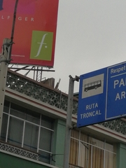 Tyrannus melancholicus