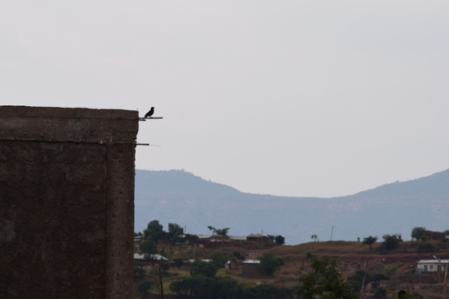 Mocking Cliff-Chat