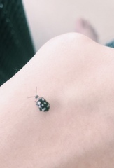 Alagoasa bipunctata perennis