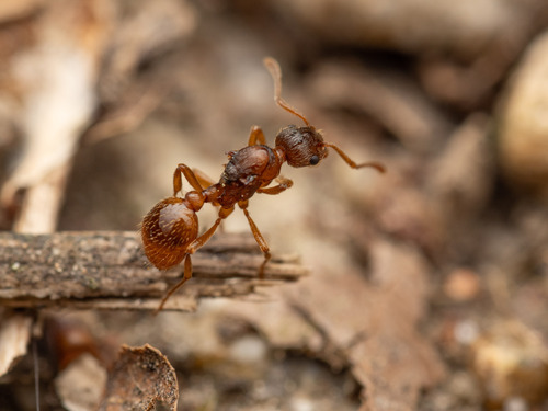 no rights reserved, uploaded by Philipp Hoenle