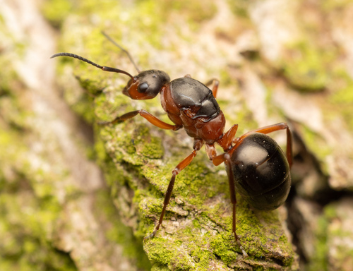 no rights reserved, uploaded by Philipp Hoenle
