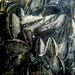 Blue Mussel - Photo (c) Saspotato, some rights reserved (CC BY-NC-SA)