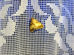 Evergestis politalis