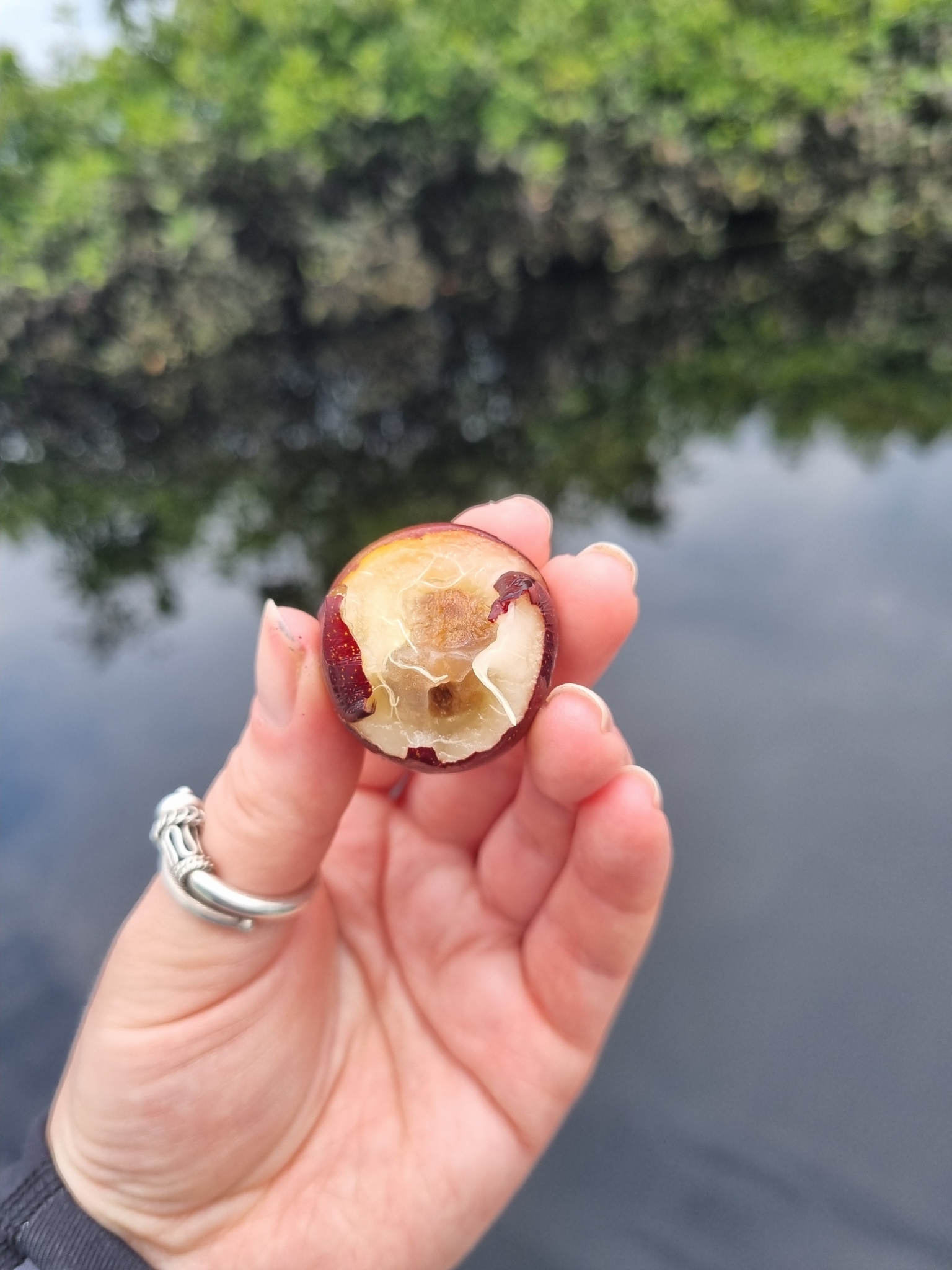 Imagem de Camu-camu