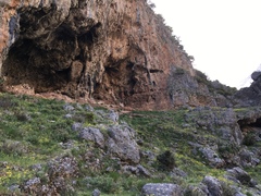 Corvus monedula soemmerringii