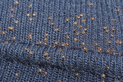 Amblyomma cajennense