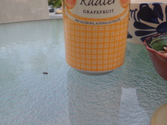 Glischrochilus fasciatus